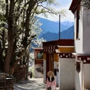 阿坝旅游 缩略图 14