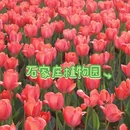 石家庄旅游 缩略图 2