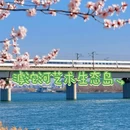 石家庄旅游 缩略图 3