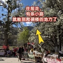 阿坝旅游 缩略图 13