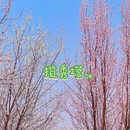 石家庄旅游 缩略图 5