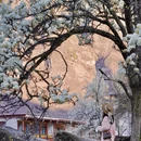 阿坝旅游 缩略图 17