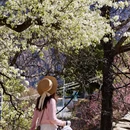 阿坝旅游 缩略图 9