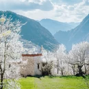 阿坝旅游 缩略图 7