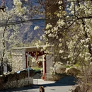 阿坝旅游 缩略图 11