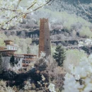 阿坝旅游 缩略图 8