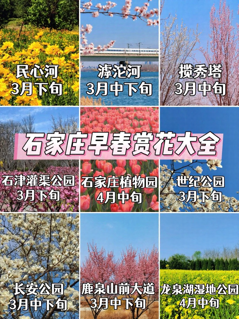 石家庄旅游