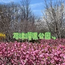 石家庄旅游 缩略图 7