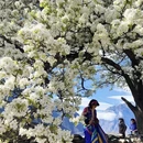 阿坝旅游 缩略图 1