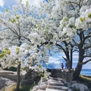 阿坝旅游 缩略图 2