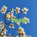 石家庄旅游 缩略图 9