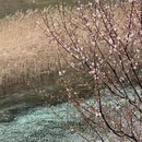 阿坝旅游 缩略图 11