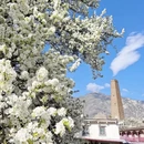 阿坝旅游 缩略图 3
