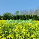 石家庄旅游 缩略图 10