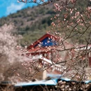 阿坝旅游 缩略图 4