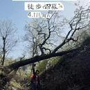 北京旅游 缩略图 1