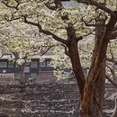北京旅游 缩略图 2