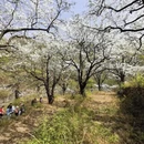 北京旅游 缩略图 4