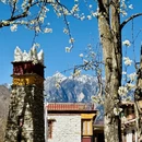 阿坝旅游 缩略图 1