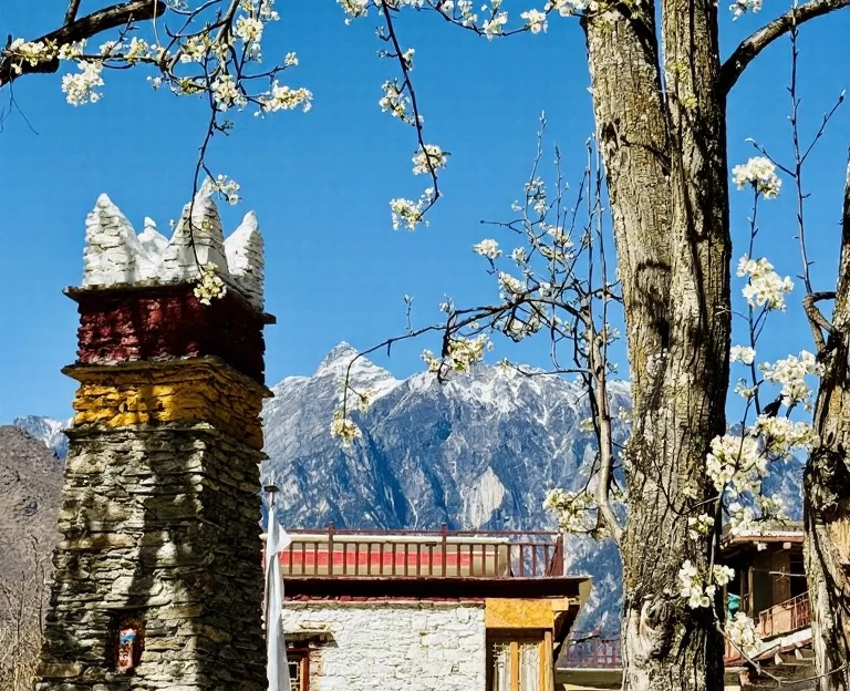 阿坝旅游 1