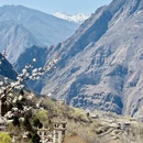 阿坝旅游 缩略图 4