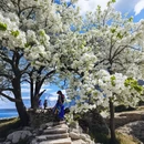 阿坝旅游 缩略图 2