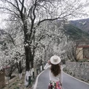 阿坝旅游 缩略图 5