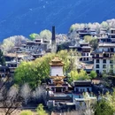 阿坝旅游 缩略图 7