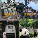 阿坝旅游 缩略图 7