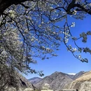 阿坝旅游 缩略图 3