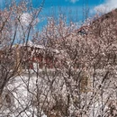 阿坝旅游 缩略图 3