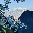 阿坝旅游 缩略图 9