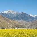 阿坝旅游 缩略图 10