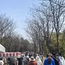 宿迁旅游 缩略图 2