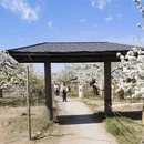 北京旅游 缩略图 2