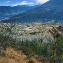 阿坝旅游 缩略图 3