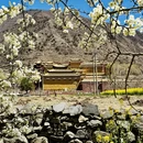 阿坝旅游 缩略图 14
