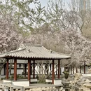 石家庄旅游 缩略图 5