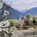 阿坝旅游 缩略图 16