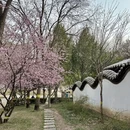 石家庄旅游 缩略图 6