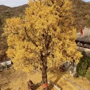 石家庄旅游 缩略图 1
