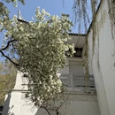 石家庄旅游 缩略图 7