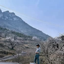 邢台旅游 缩略图 7