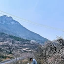 邢台旅游 缩略图 8