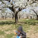 北京旅游 缩略图 9
