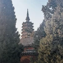 石家庄旅游 缩略图 12