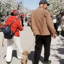 北京旅游 缩略图 11