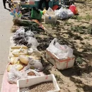 北京旅游 缩略图 12