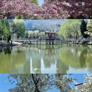 石家庄旅游 缩略图 1