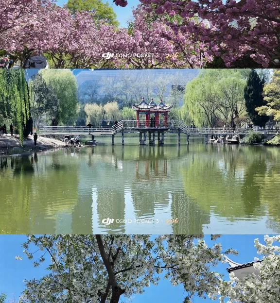 石家庄旅游 1